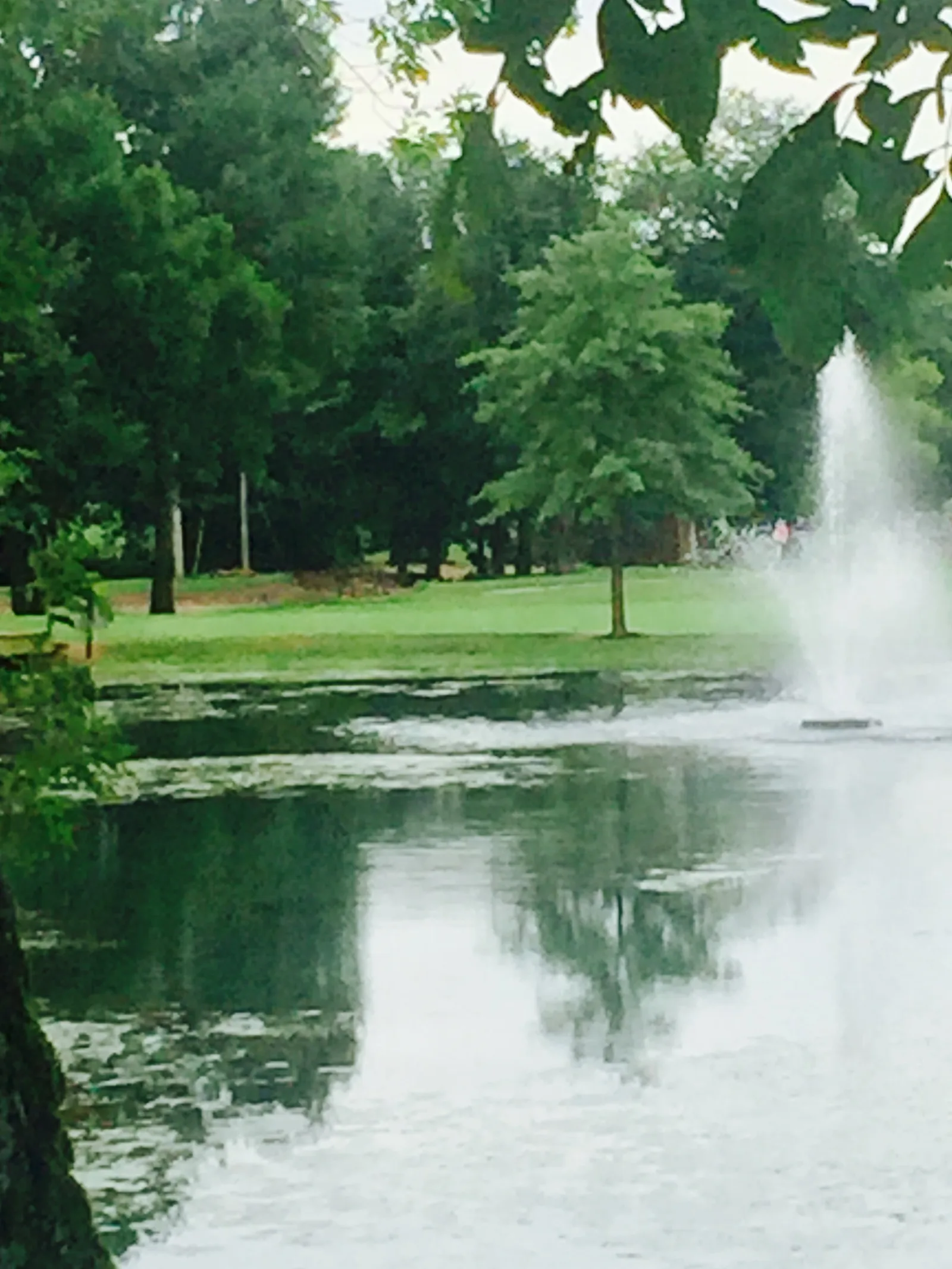 The Creeks Golf & RV Resort